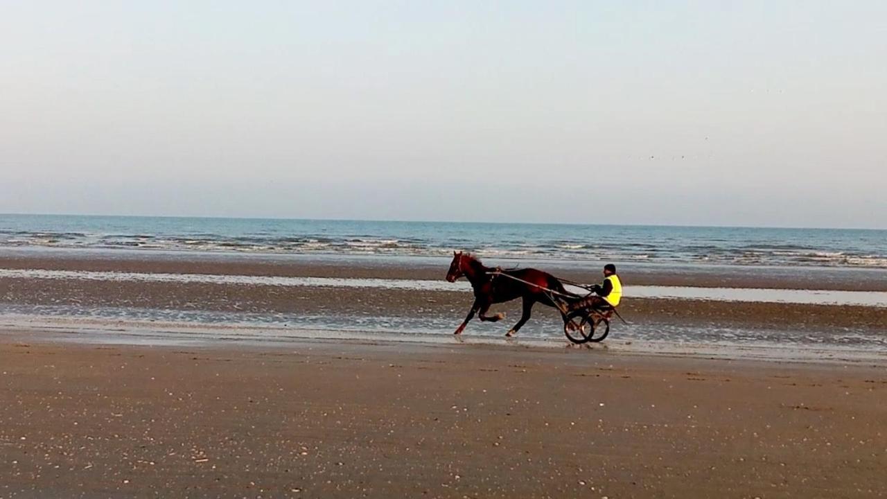 Chez Gigi Bed and Breakfast Merville-Franceville-Plage Exteriör bild